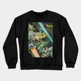 Green Frog, Green Cloak Photograph Crewneck Sweatshirt